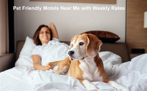 pet friendly weekly motels